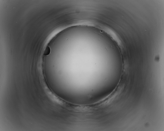 X0000102220952200807251208