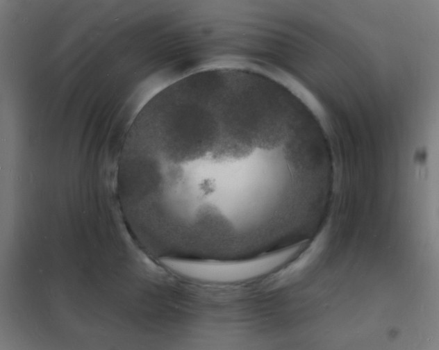 X0000102220953200807251208