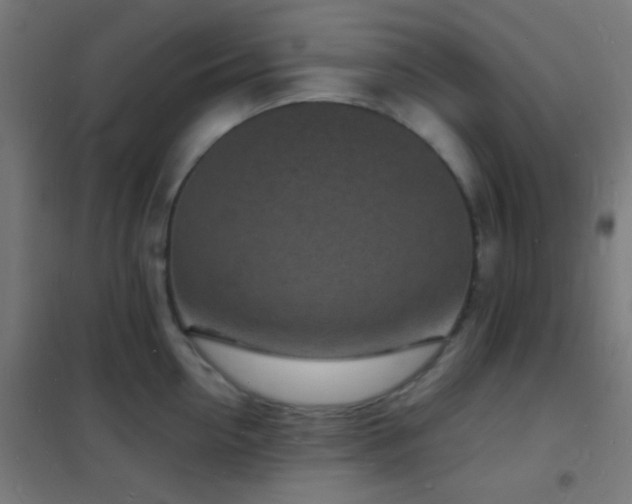 X0000102220954200807251208