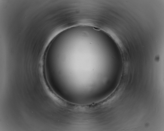 X0000102220955200807251208