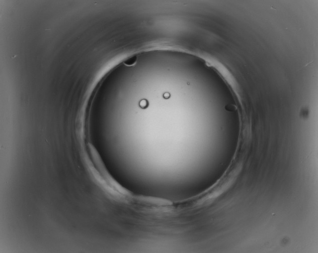 X0000102220957200807251208