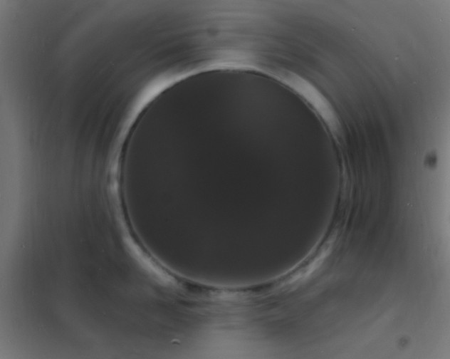 X0000102220958200807251208