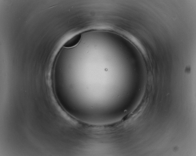 X0000102220959200807251208