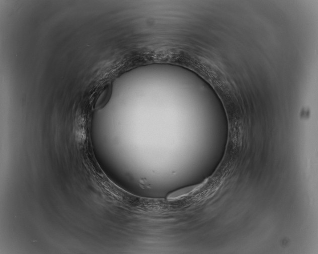 X0000102220962200807251207