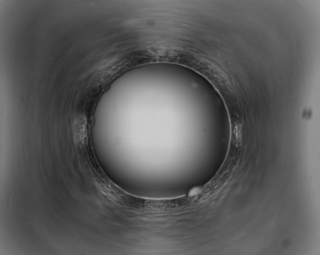 X0000102220963200807251207