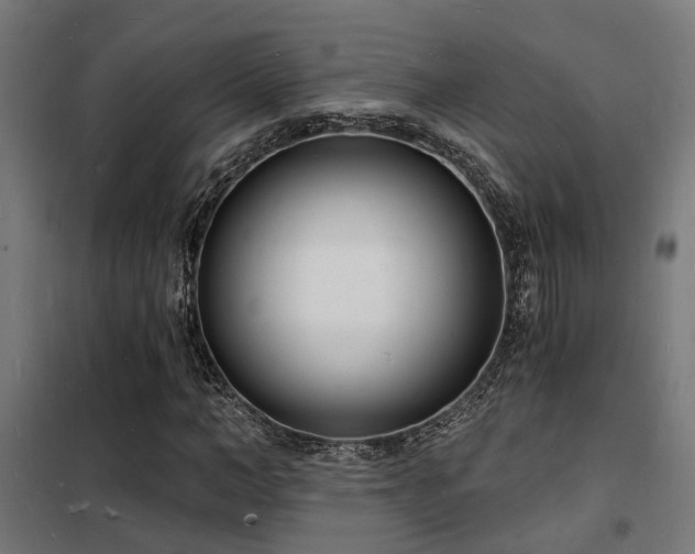 X0000102220966200807251207