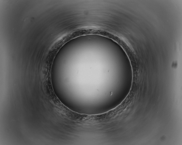 X0000102220967200807251207