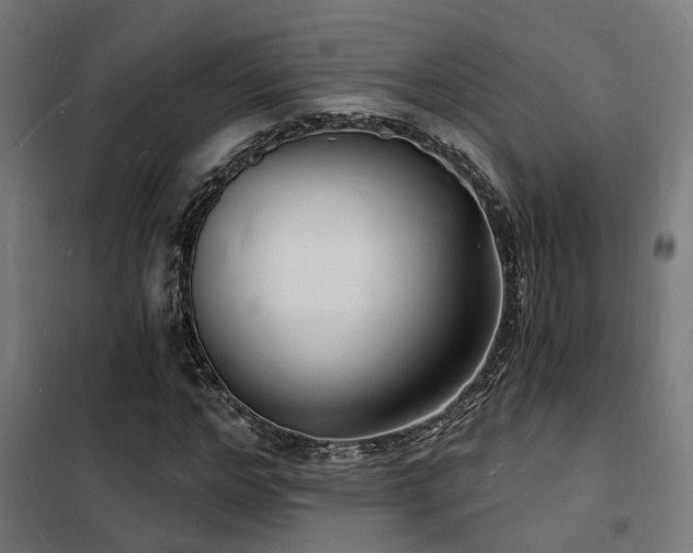 X0000102220968200807251207