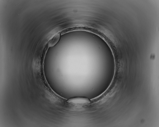 X0000102220969200807251207