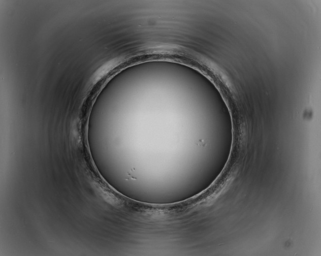 X0000102220970200807251207