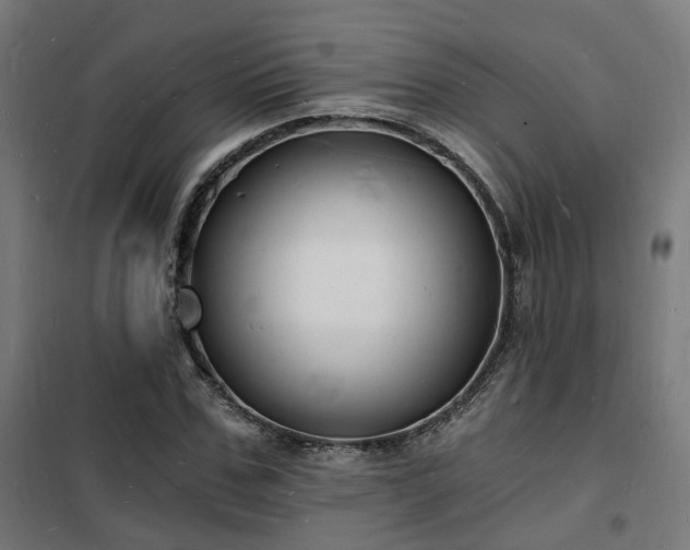 X0000102220971200807251207