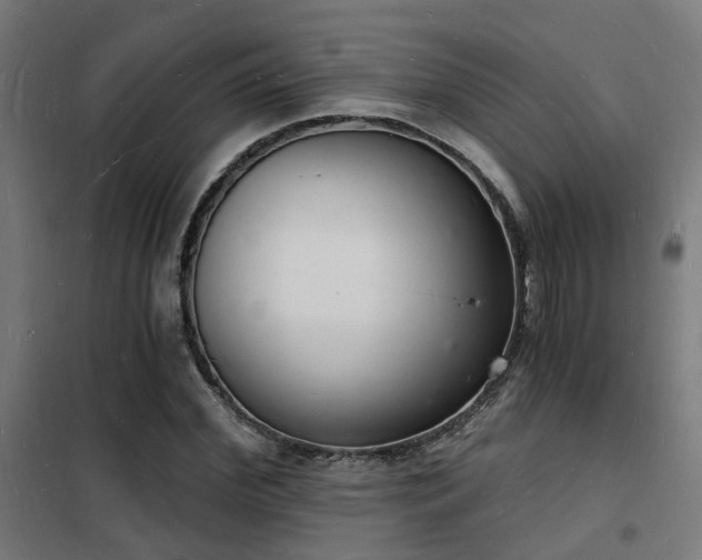 X0000102220972200807251207