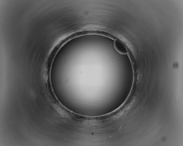 X0000102220973200807251207