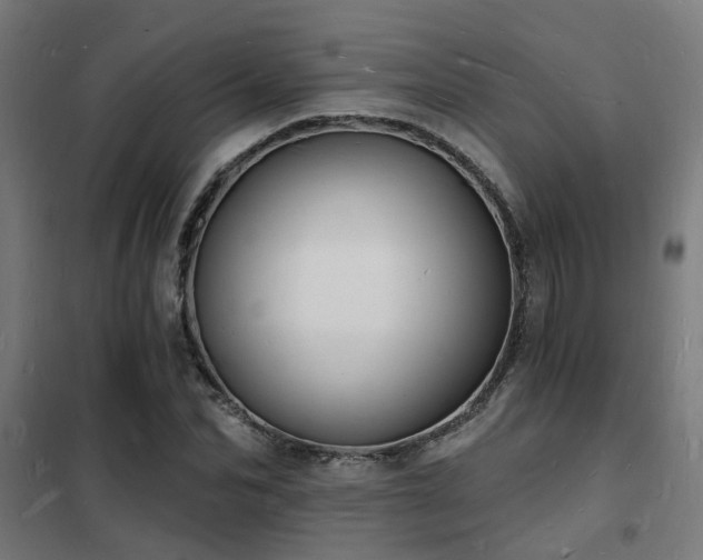 X0000102220974200807251207