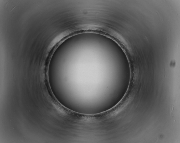 X0000102220978200807251207