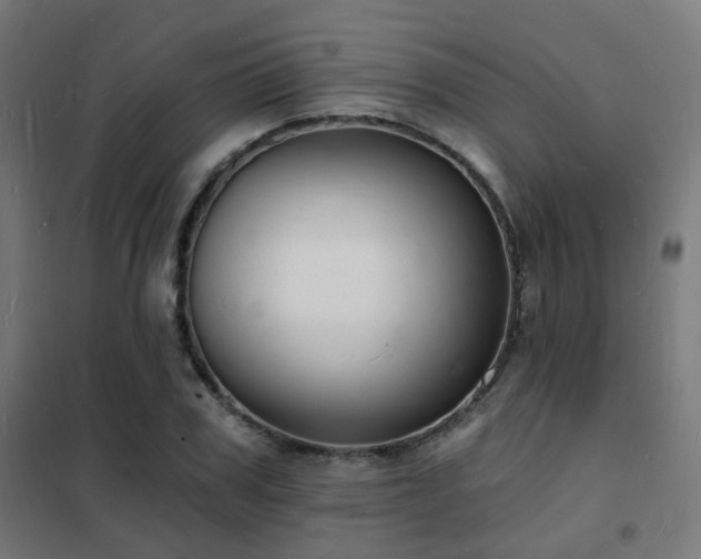 X0000102220979200807251207