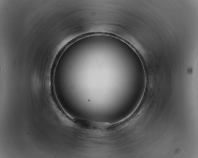 X0000102220980200807251207