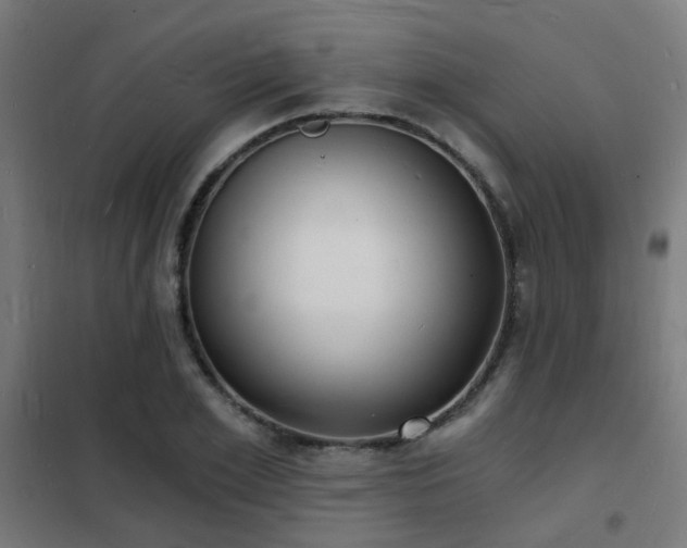 X0000102220981200807251207