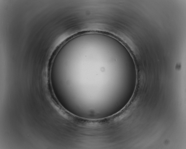 X0000102220982200807251207