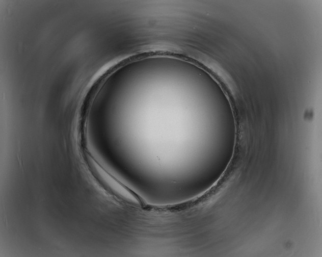 X0000102220983200807251207