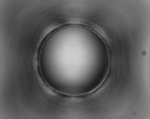 X0000102220984200807251207