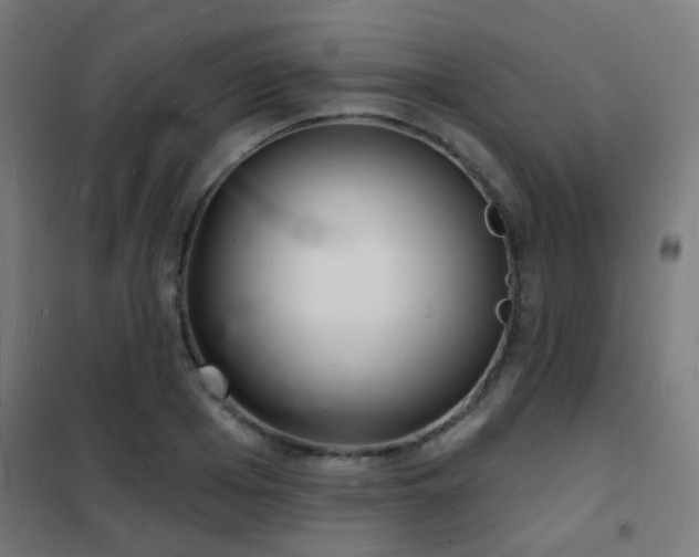 X0000102220985200807251206