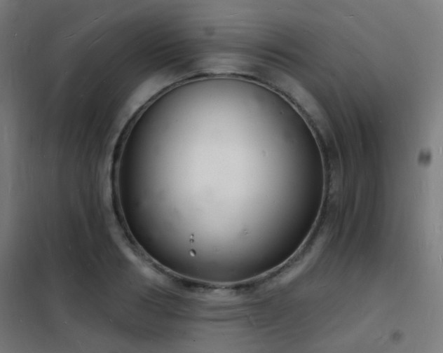 X0000102220986200807251206