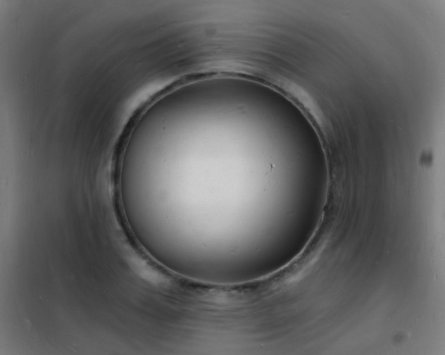 X0000102220987200807251206