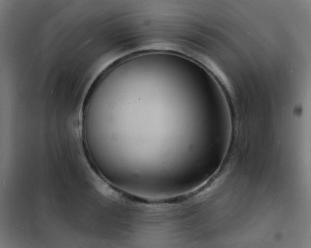 X0000102220988200807251206