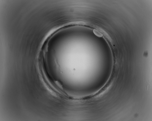 X0000102220989200807251206