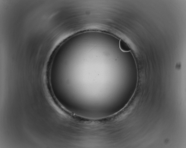 X0000102220991200807251206