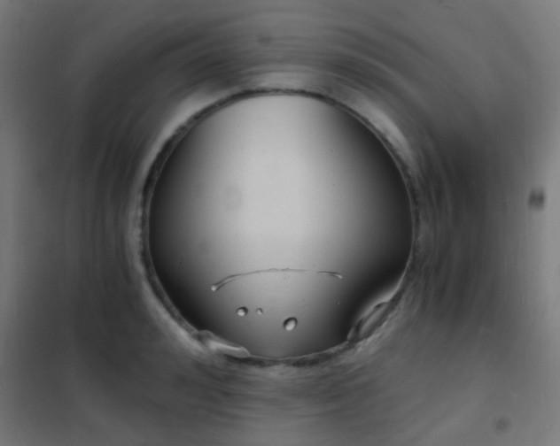 X0000102220992200807251206