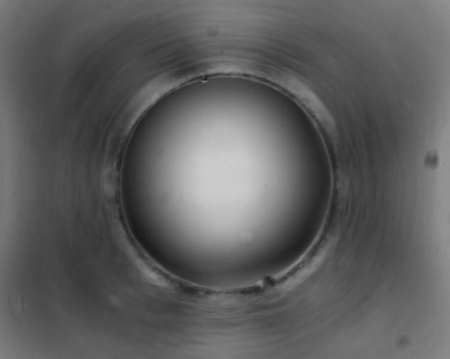 X0000102220993200807251206