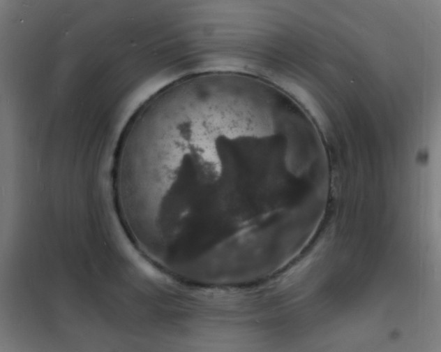 X0000102220995200807251206