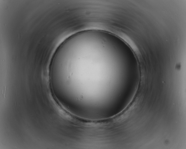 X0000102220996200807251206