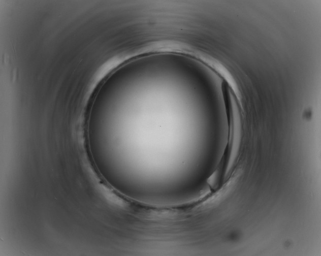 X0000102220997200807251206