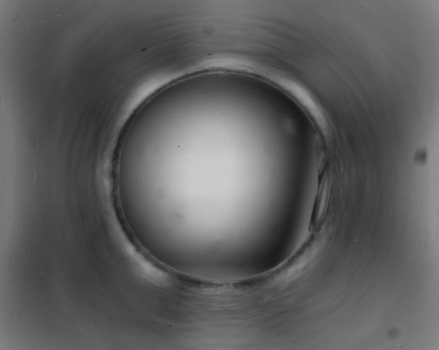 X0000102220999200807251206