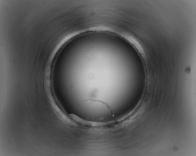 X0000102221000200807251206