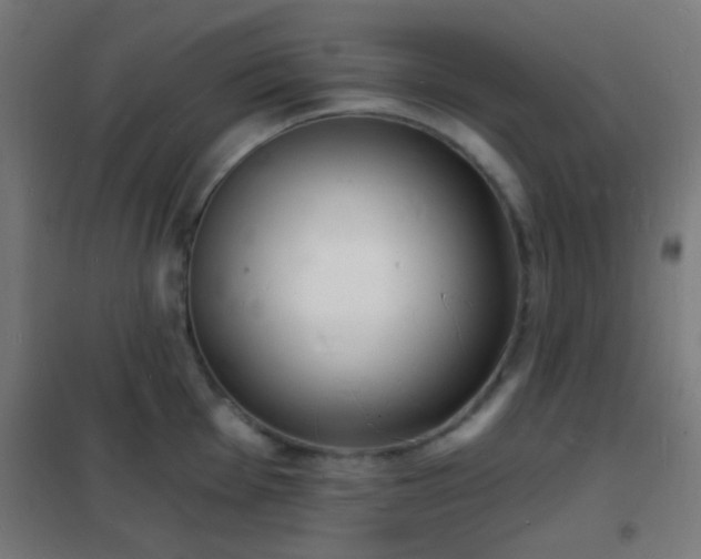 X0000102221001200807251206