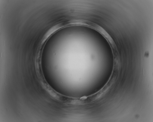 X0000102221002200807251206