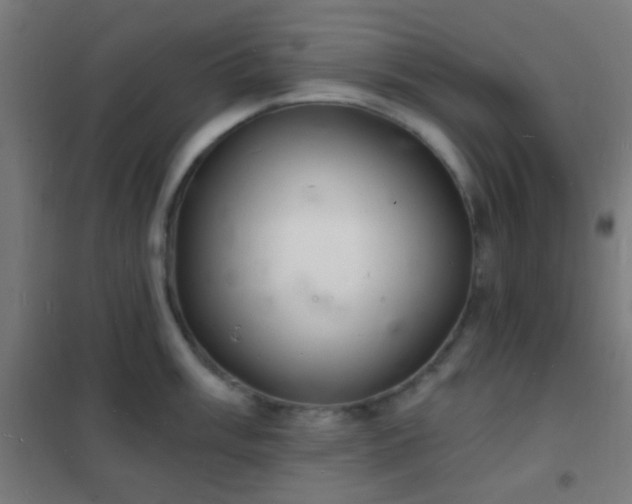 X0000102221003200807251206