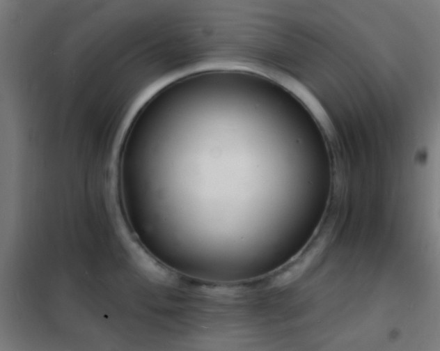 X0000102221004200807251206