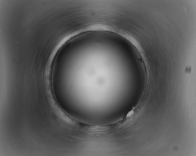 X0000102221008200807251206