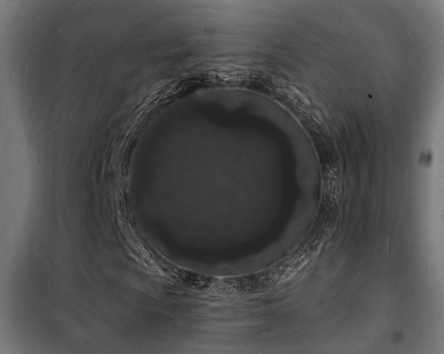X0000102221009200807251205