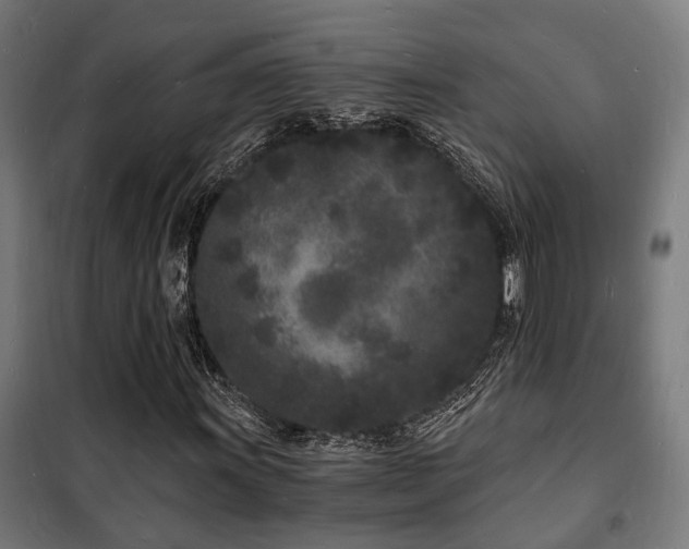 X0000102221011200807251205
