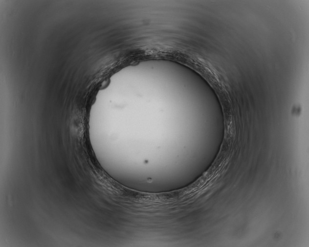 X0000102221012200807251205
