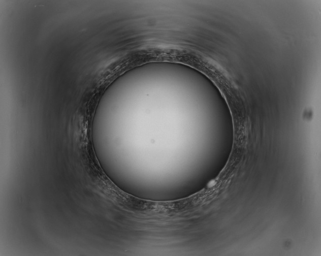 X0000102221013200807251206