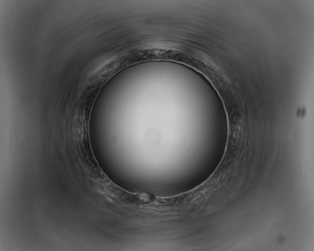 X0000102221014200807251206