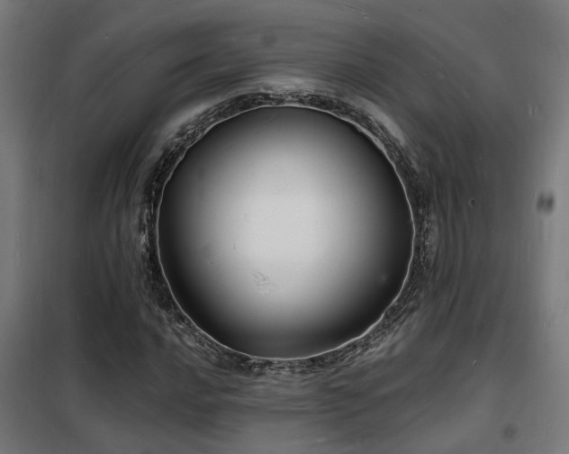 X0000102221016200807251206