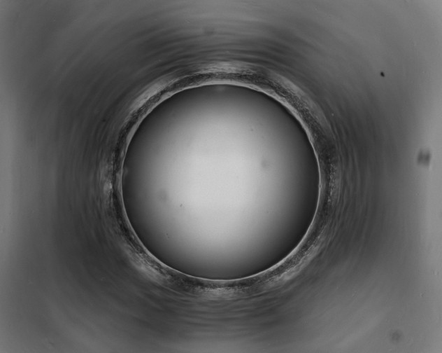 X0000102221017200807251206